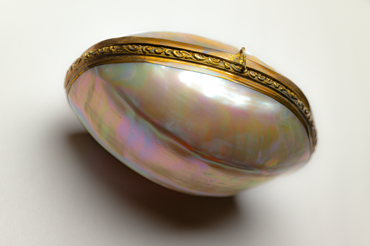 Palais Royal Mother of pearl sewing etui